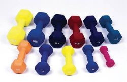 Dumbell Weights 10 lb * One piece internal casting cast iron with