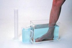 Body Fat Measures LOWER EXTREMITY * Foot Set * Designed to objectively measure volume of the body parts by using the fluid displacement method - where the body part is placed in a water-filled tank and the resultant overflow is collected and measured * By taking measurements over time, edema can be measured and quantified * Includes volumeter, overflow cup and graduated cylinder *